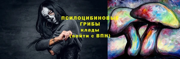 дмт Богородск