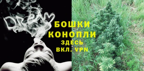 дмт Богородск