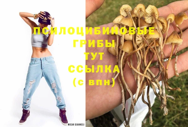 дмт Богородск