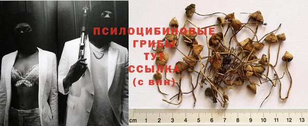 каннабис Богородицк