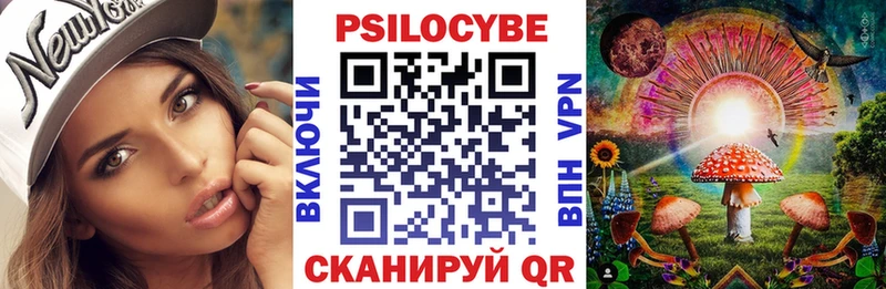 Псилоцибиновые грибы Psilocybe Наро-Фоминск